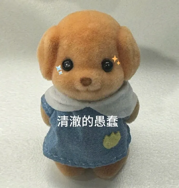 森贝儿 清澈愚蠢.webp