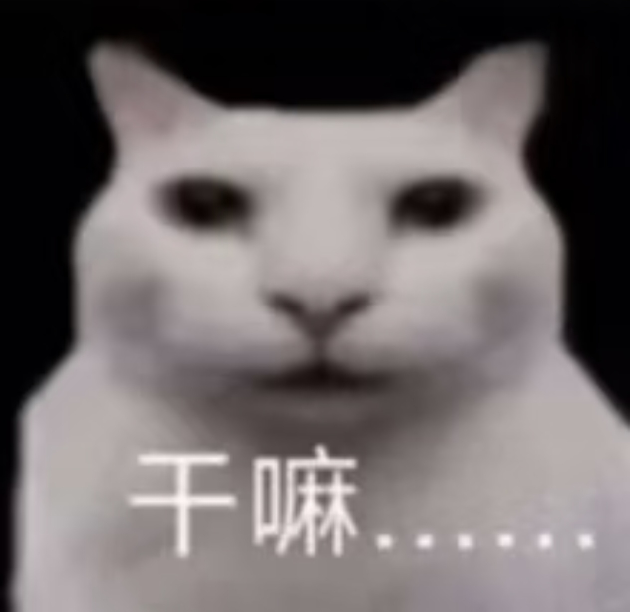 干嘛…….jpg