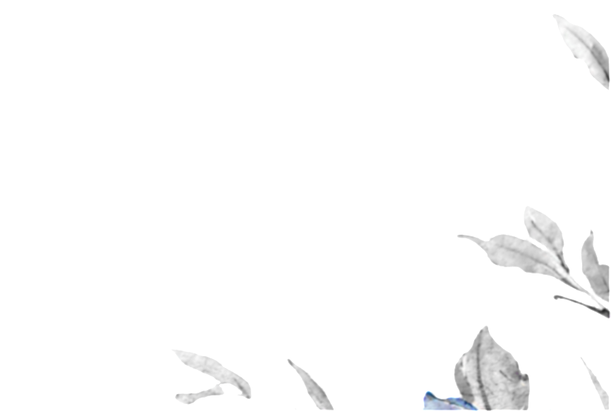 1000166911.png