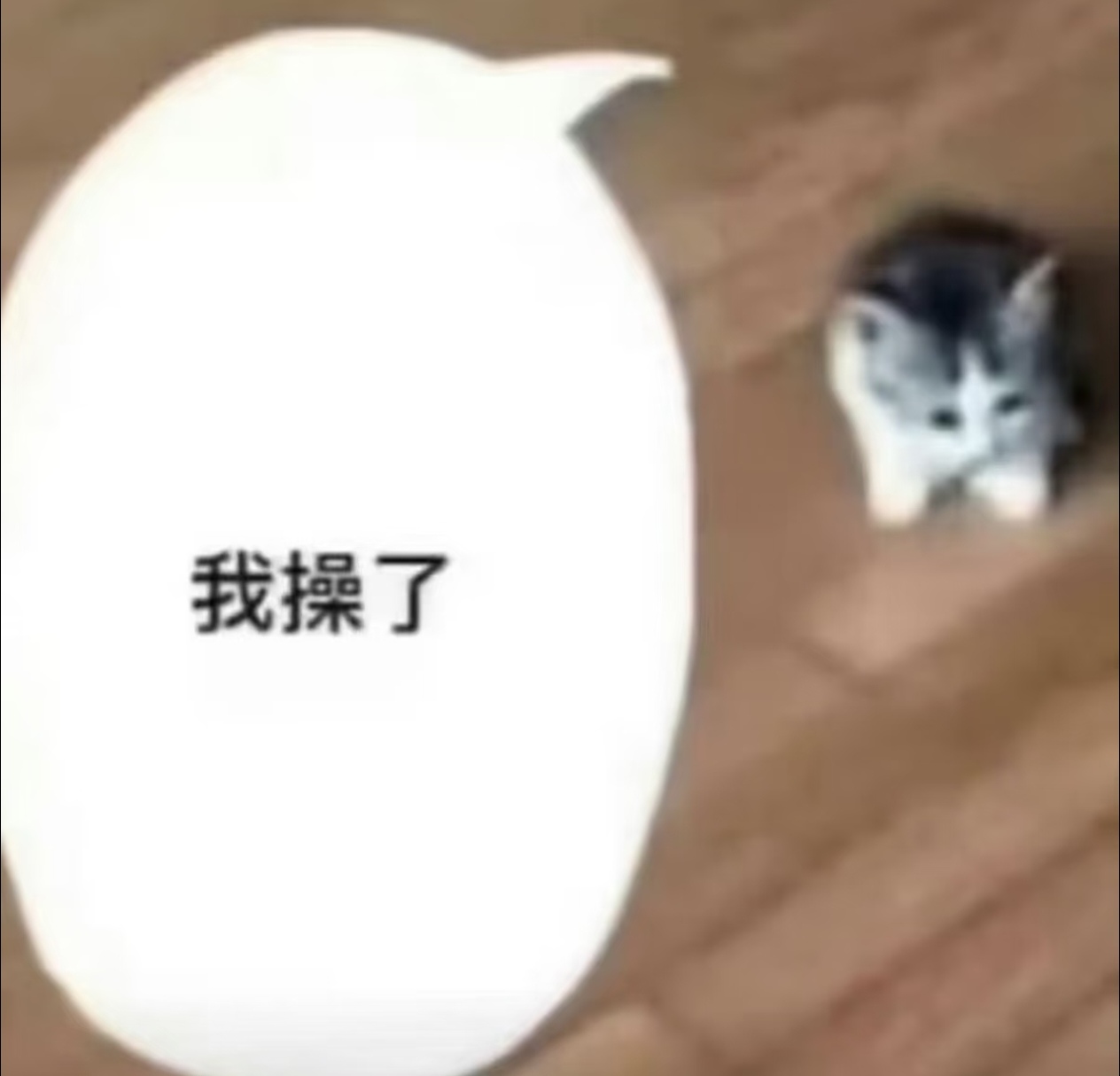 我操了.jpg