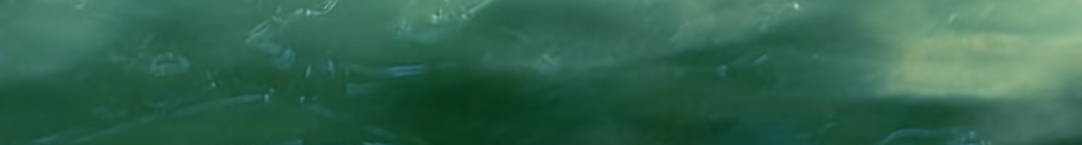 1000166795.jpg