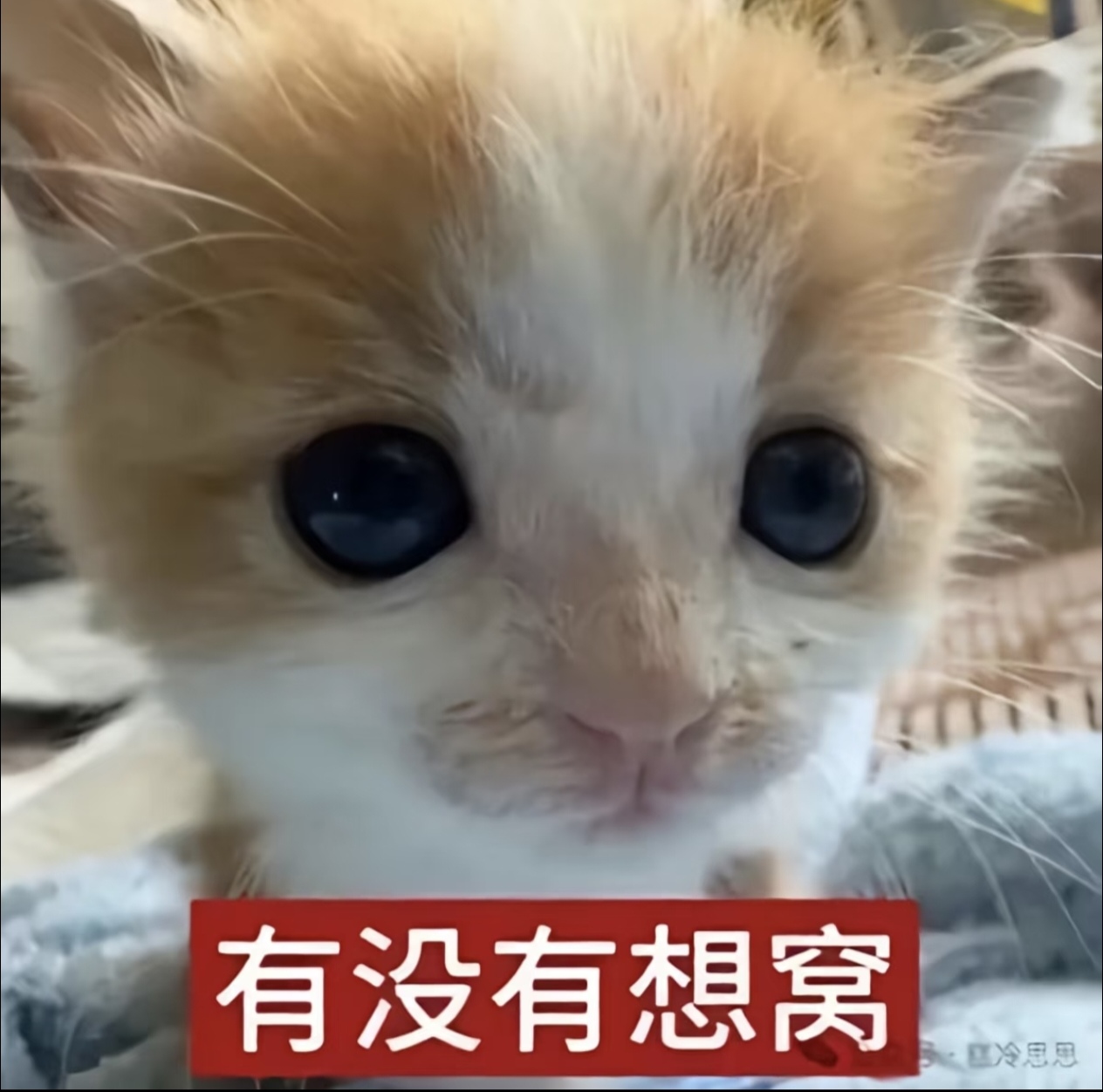 有没有想窝.jpg