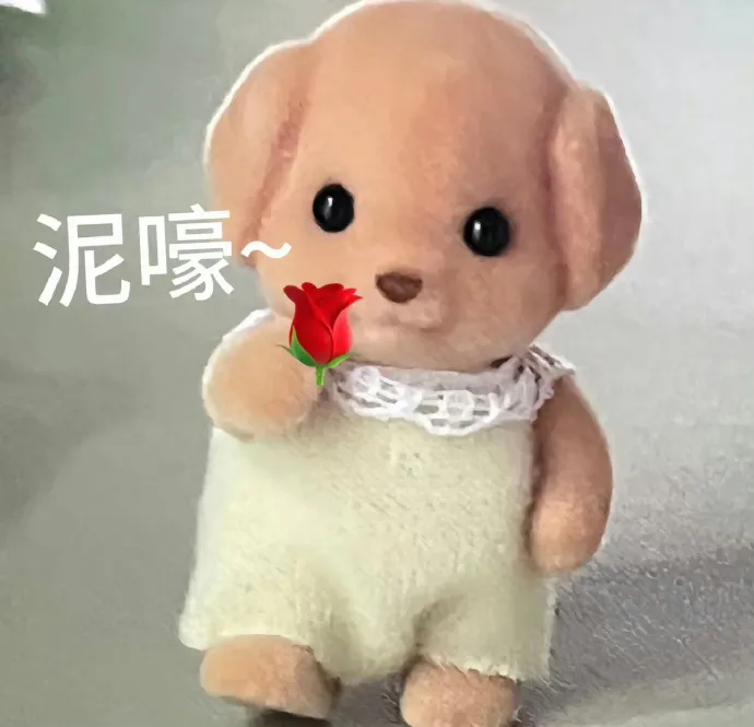 森贝儿 拿着花花 泥嚎（你好）.webp