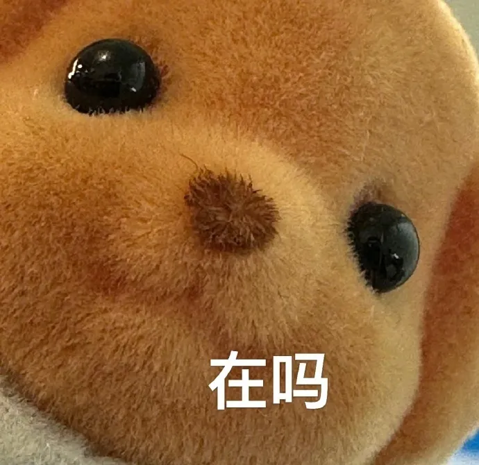 森贝儿凑近 在吗.webp