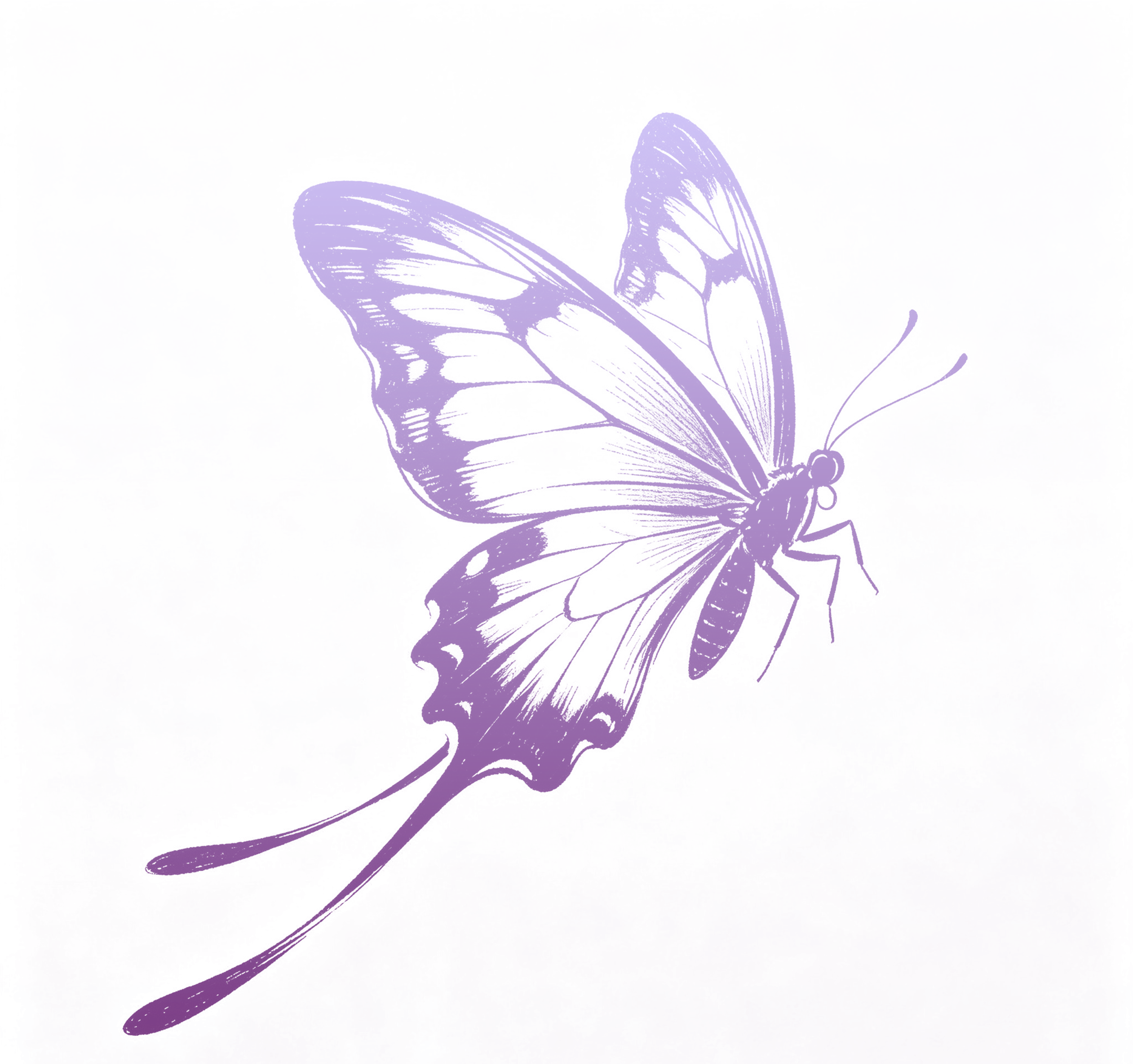 121].png