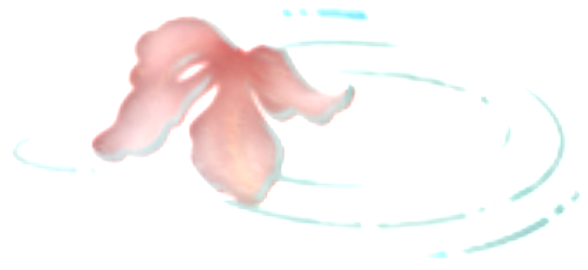 1000160404.png