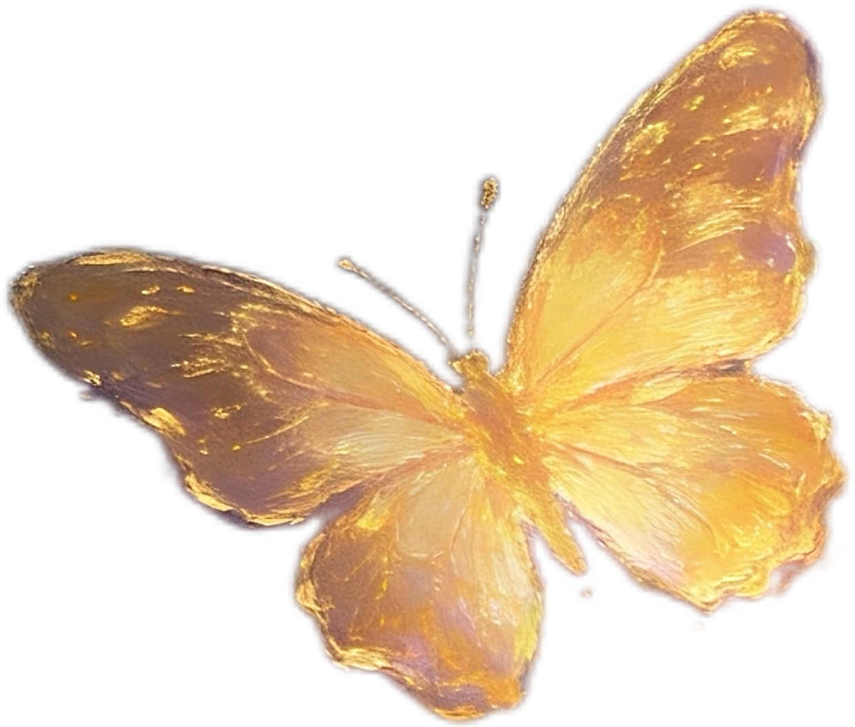 IMG_5517.png