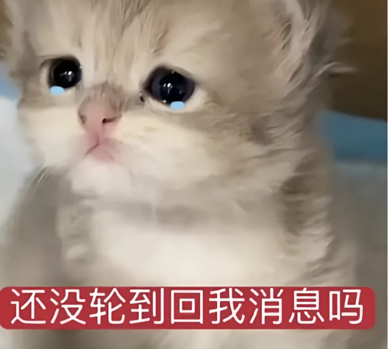 还没轮到回我信息吗？.jpg
