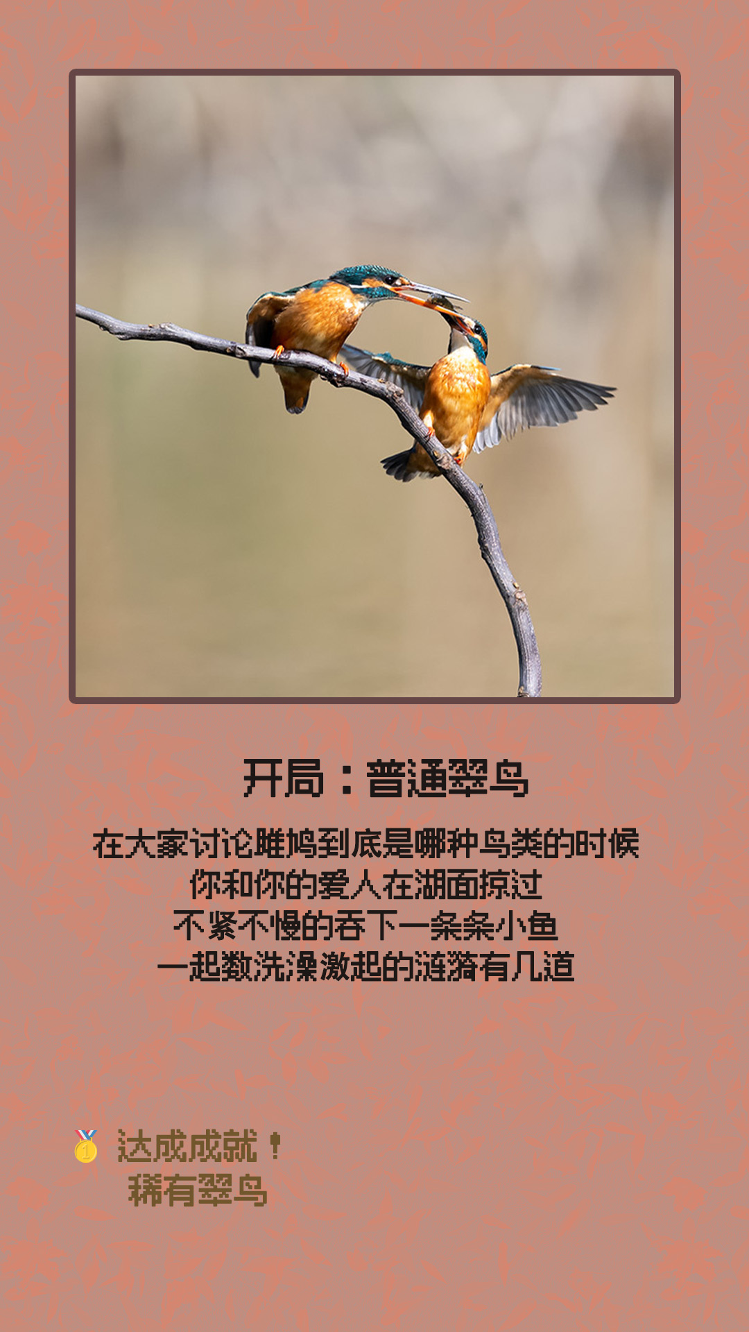 普通翠鸟.jpg