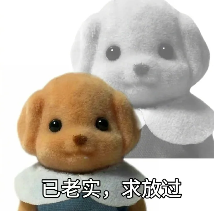 森贝儿已老实求放过.webp