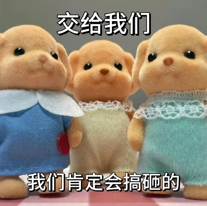 森贝儿 交给我们  我们肯定会搞砸的.webp