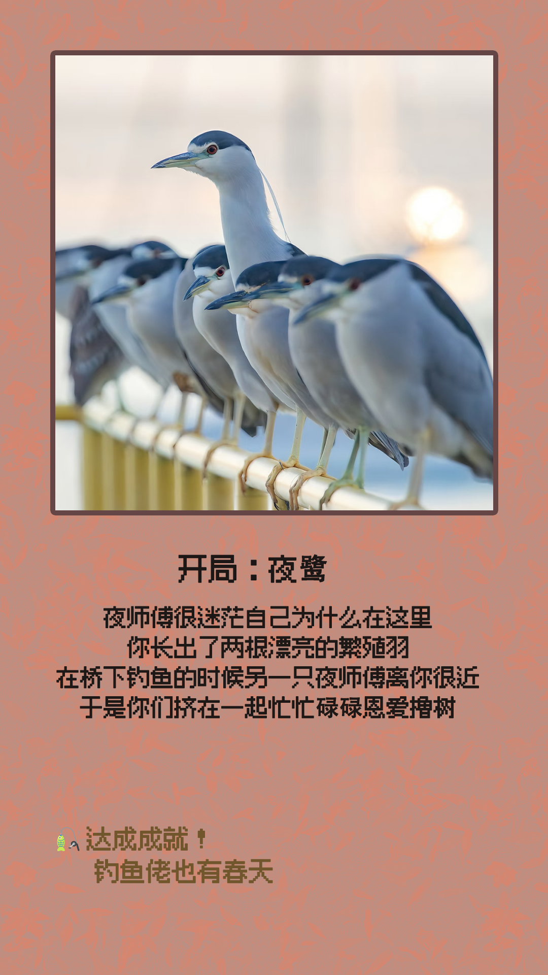 夜鹭.jpg