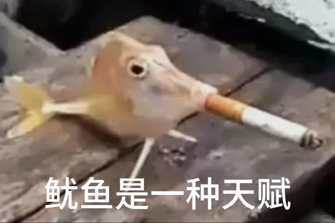 33ed2244-3b04-4364-ac14-746666f3cab0.png