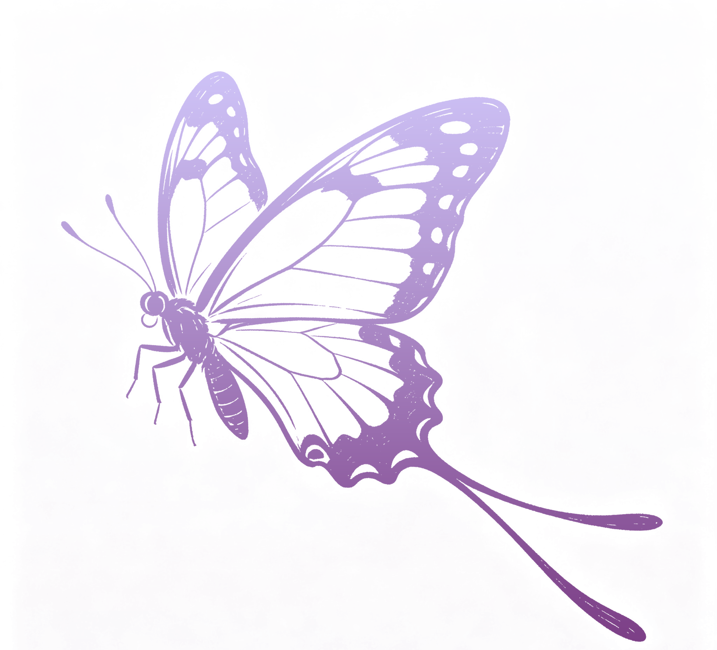122.png