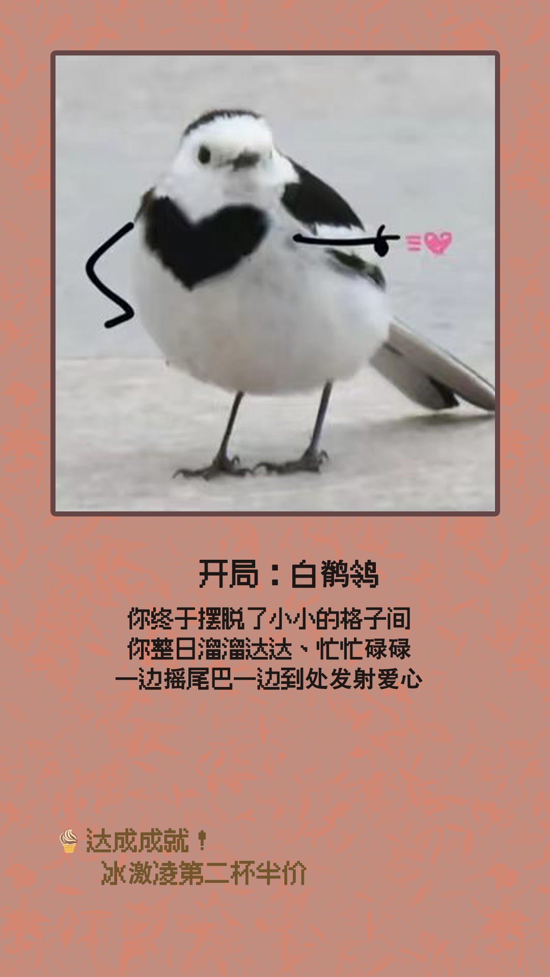 白鹡鸰.jpg