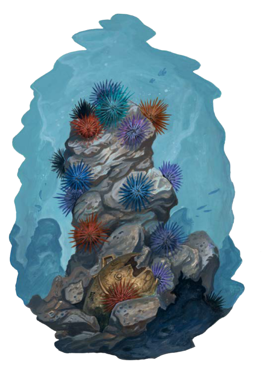 Sea Urchin, Hunter, Spear.png