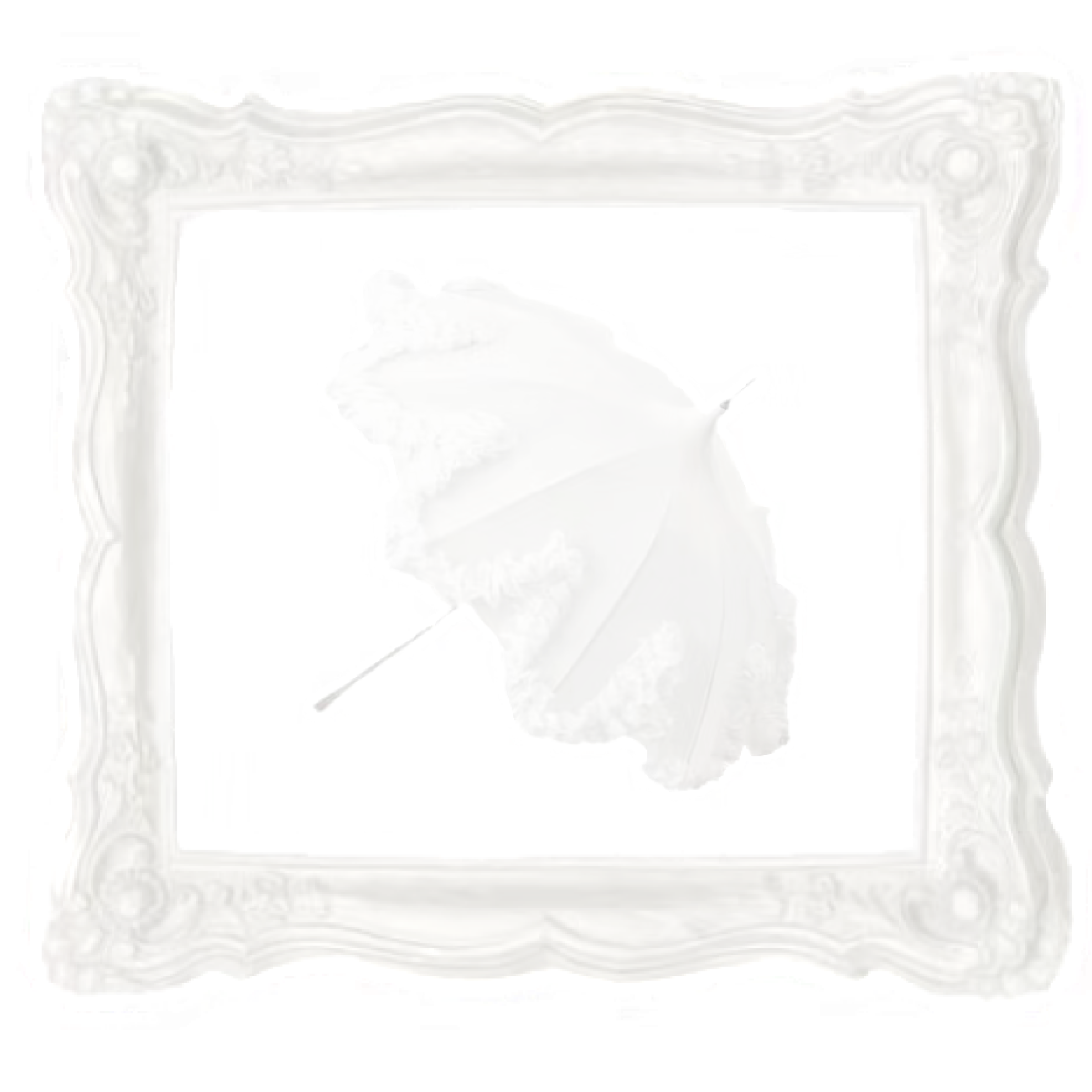 1000067527.png