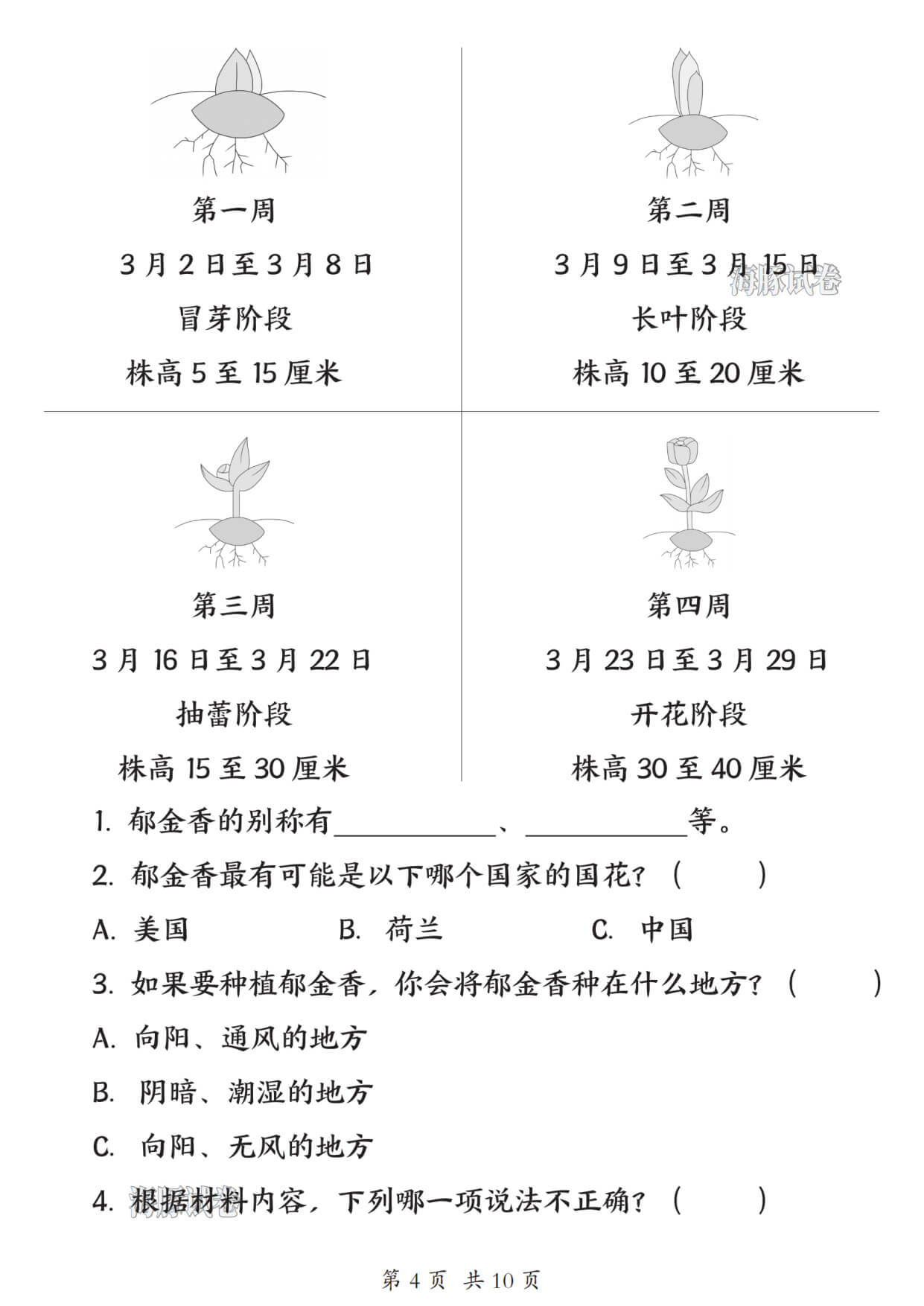 【海豚试卷】26新版二年级下册语文期末非连续性文本专项-4.jpg