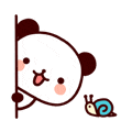 IMG_3834.gif
