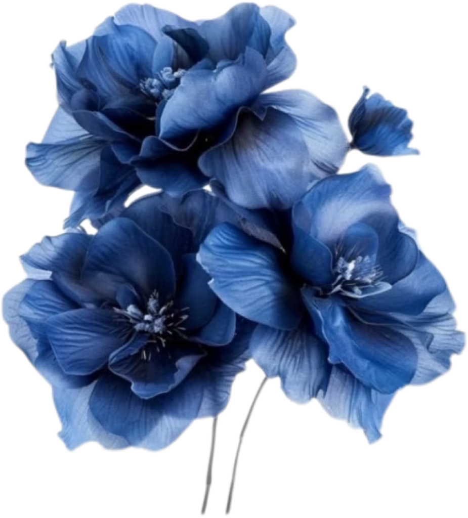 IMG_0176.png
