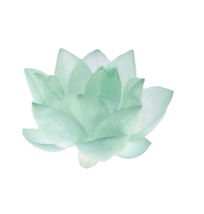 无标题226_20260814141308.png