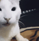 4b04777d14d7f174d8eac4e7ec155ac739dbd5bac0f979d9ad341626d4cdd45b.0.GIF