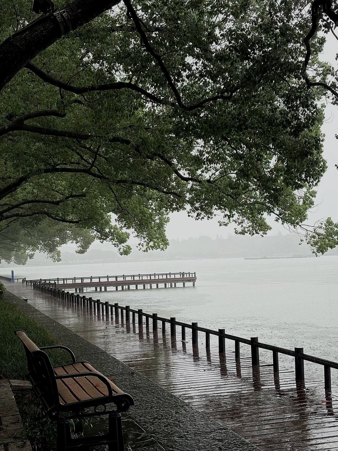 南京！！！暴雨中的玄武湖杀疯了！！！_1_潘小雨爱摄影_来自小红书网页版.jpg