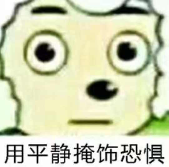 1000031813.jpg