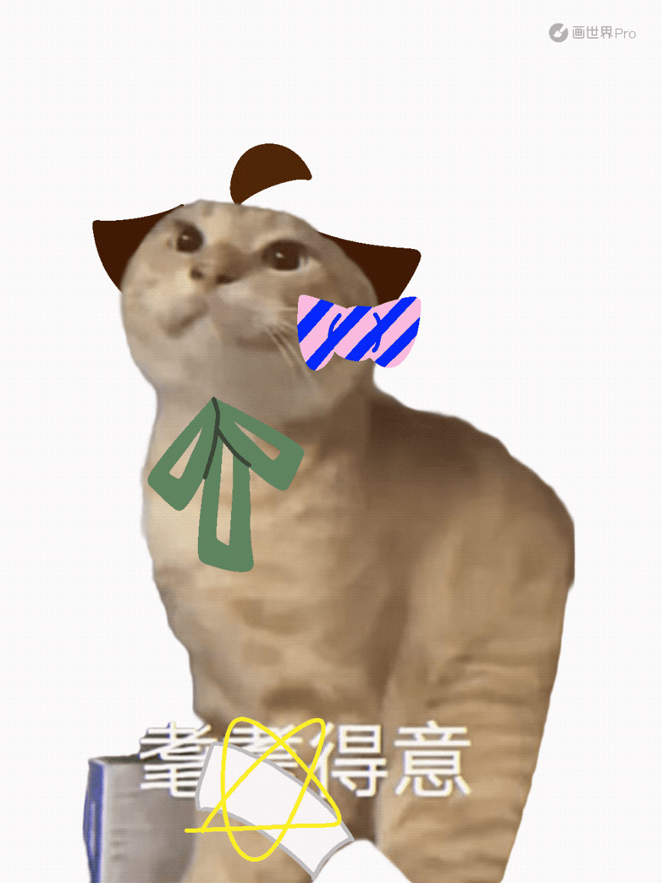 1786767237629.gif