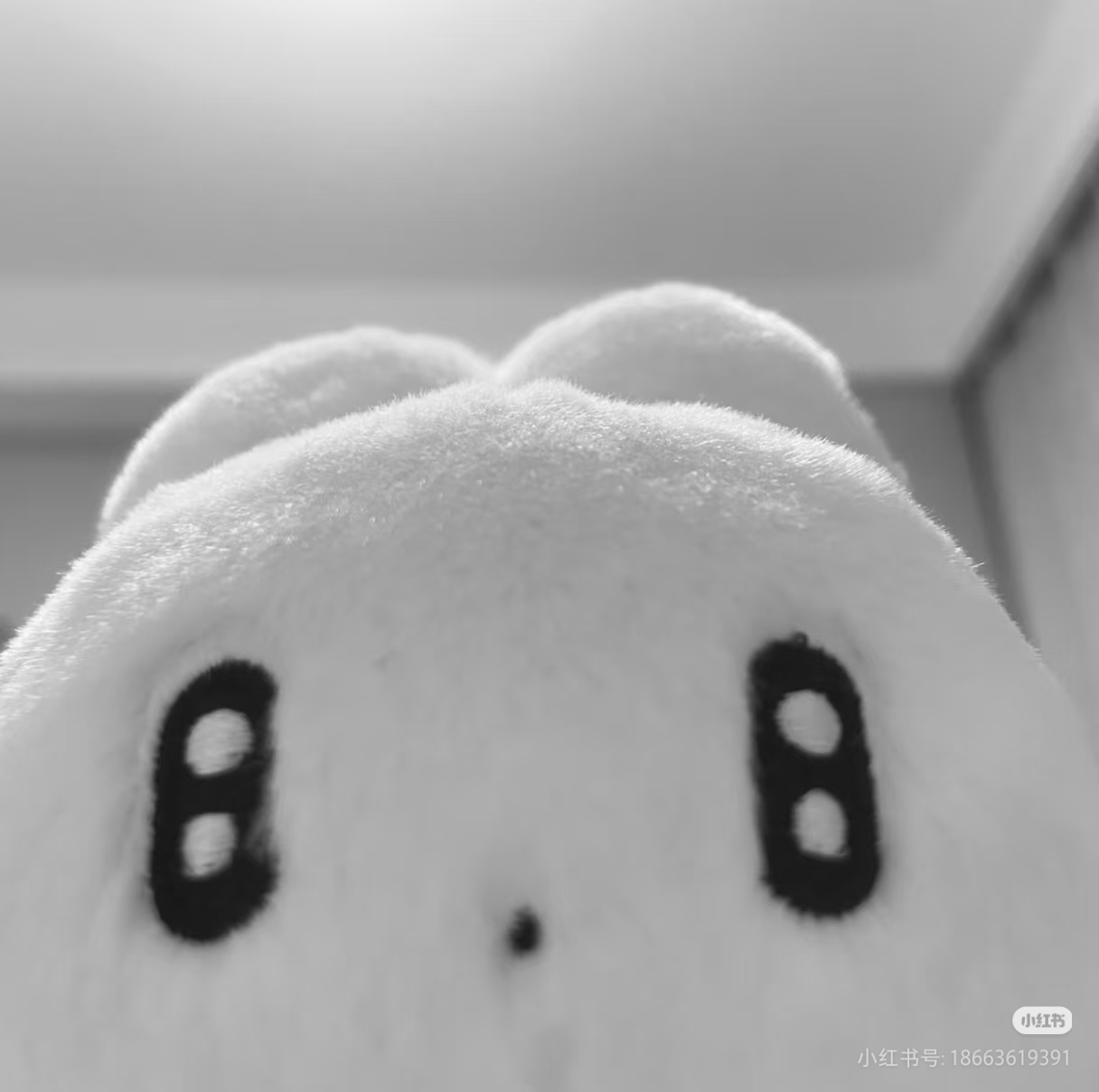 Camera_1040g3k0321fp5opdmu205qege4dt5gkrf5hdtj0.jpg