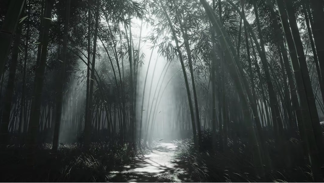 Screenshot_2026_0815_203944.png