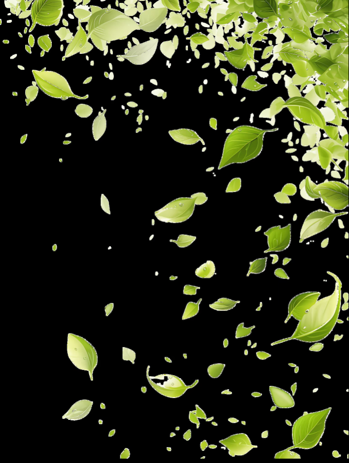 Screenshot_2026_0815_231303.png
