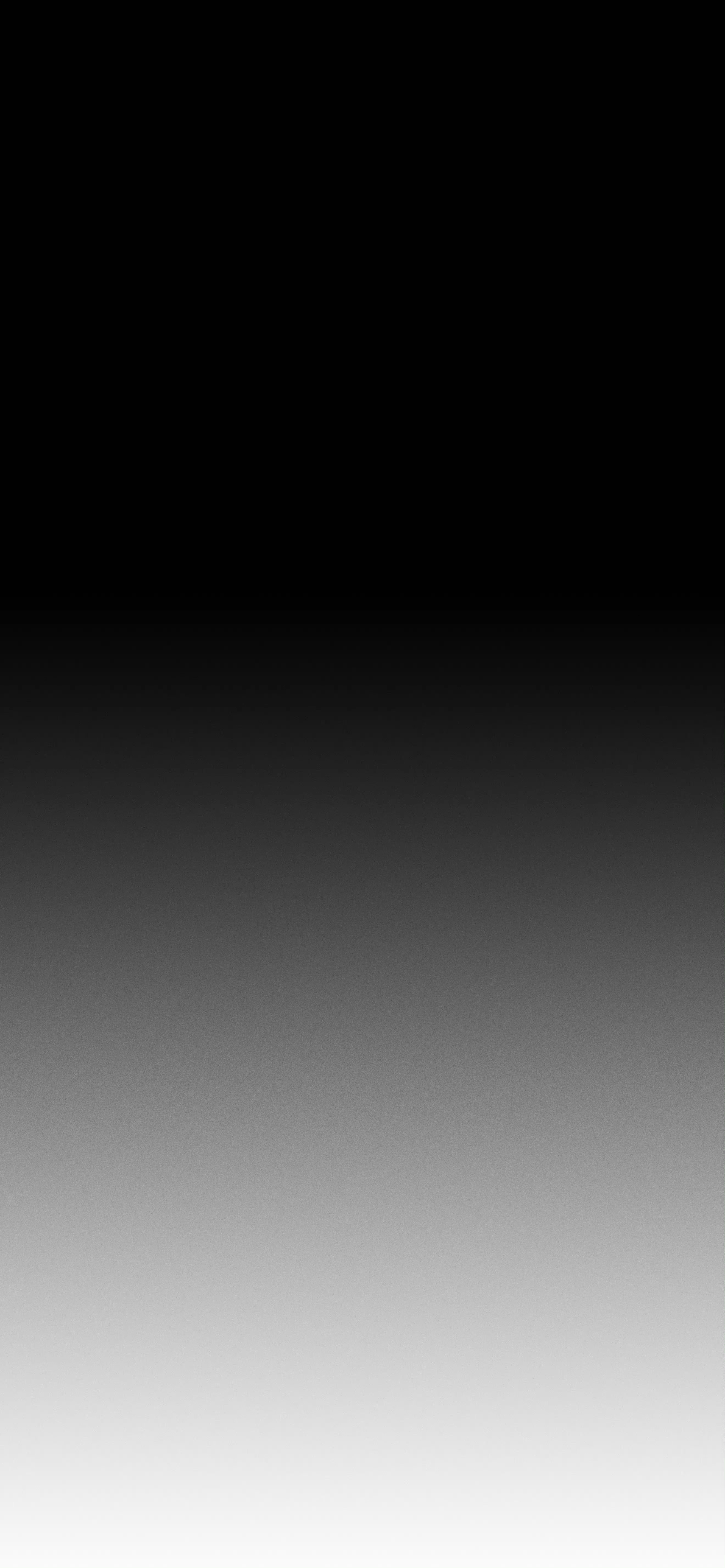 IMG_8101.png