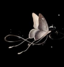Screenshot_2026_0816_162855.png