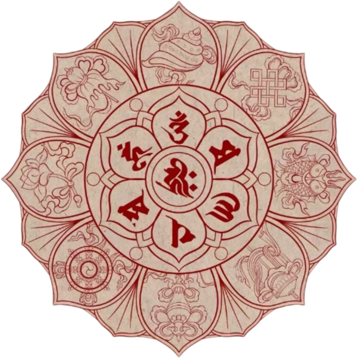IMG_0247.png