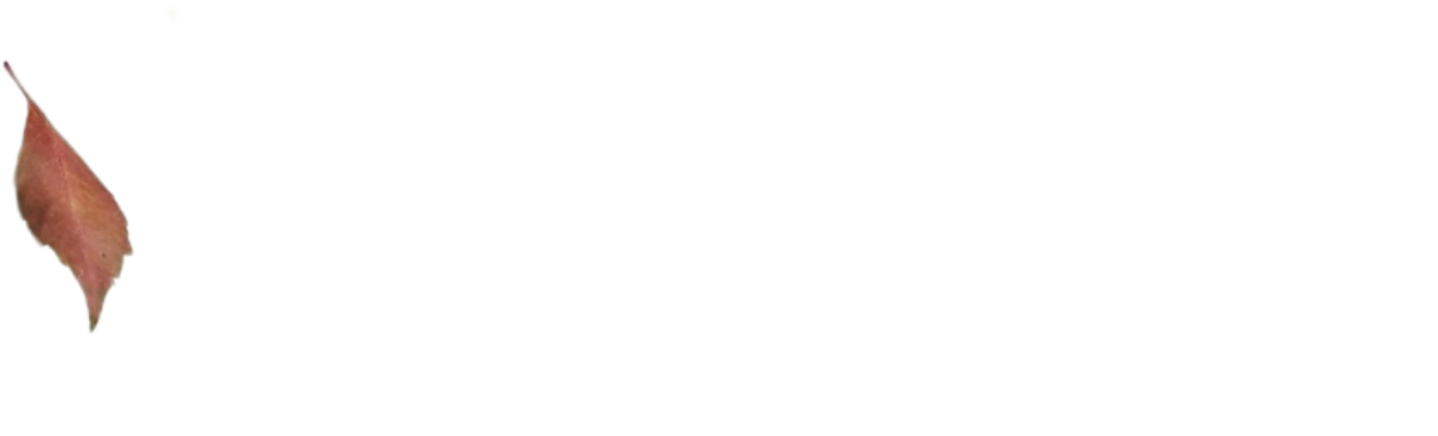1000028864.png