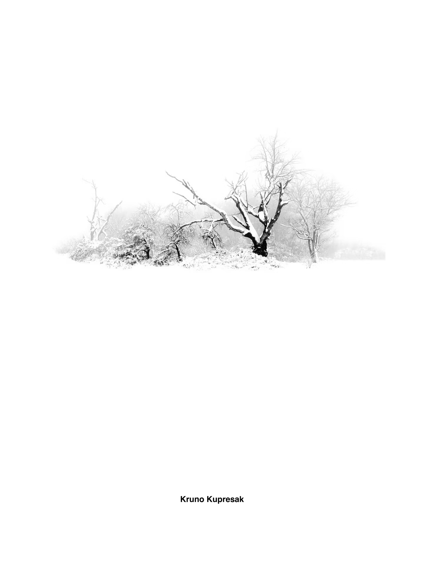 1786563691840.png