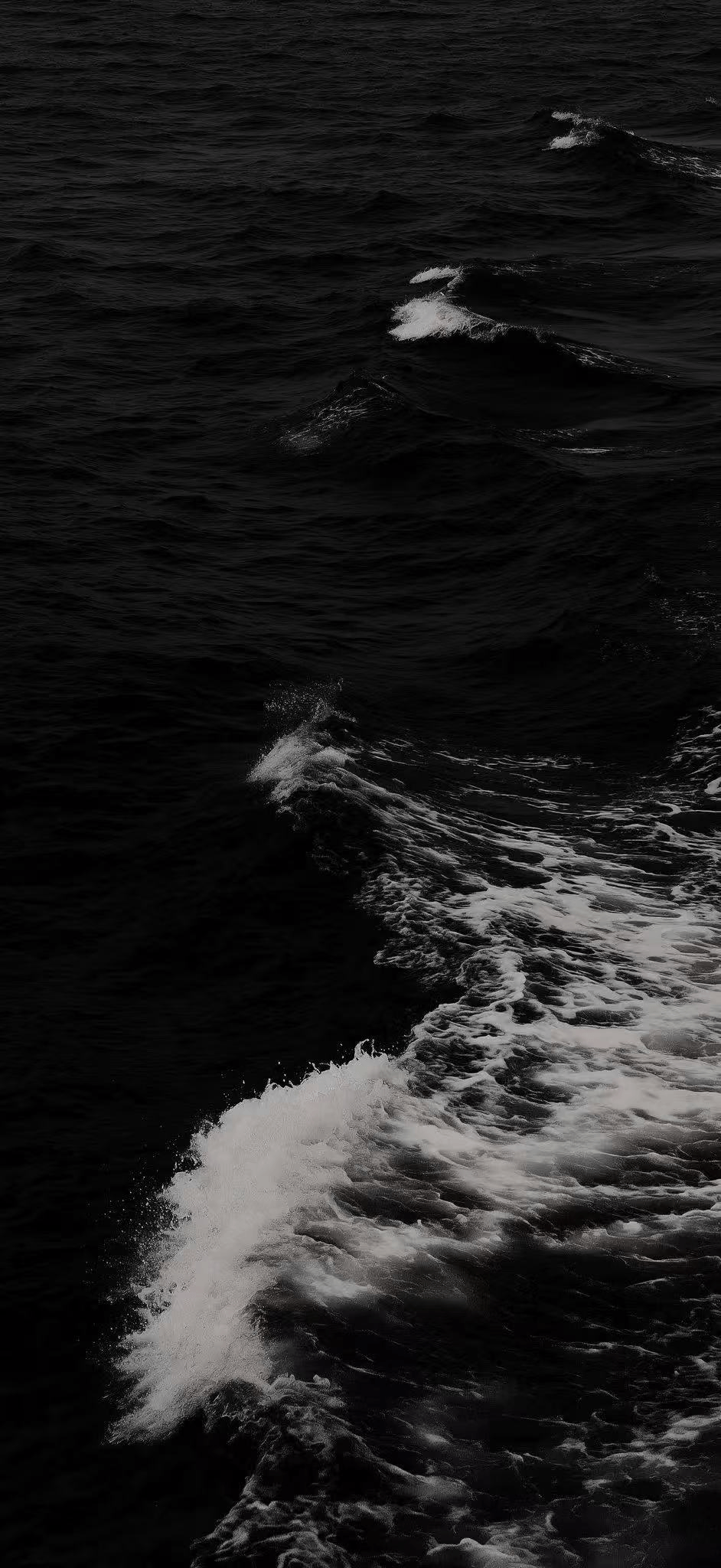 IMG_7809.png