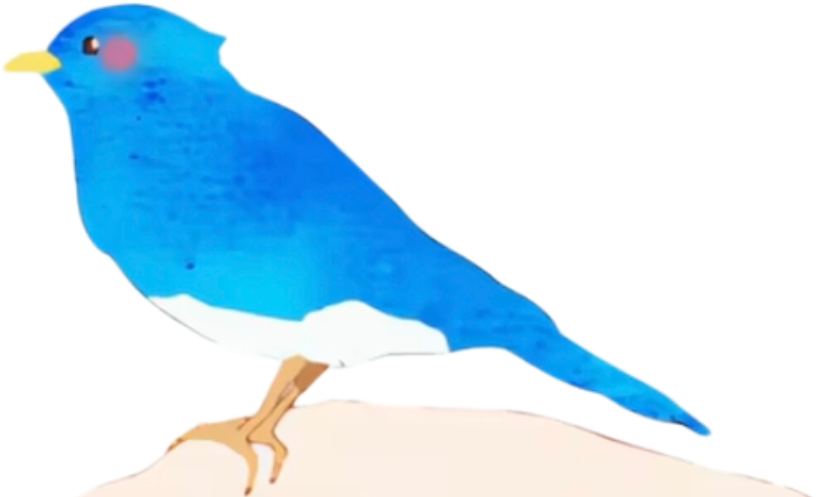 retouch_2026081603115655.png