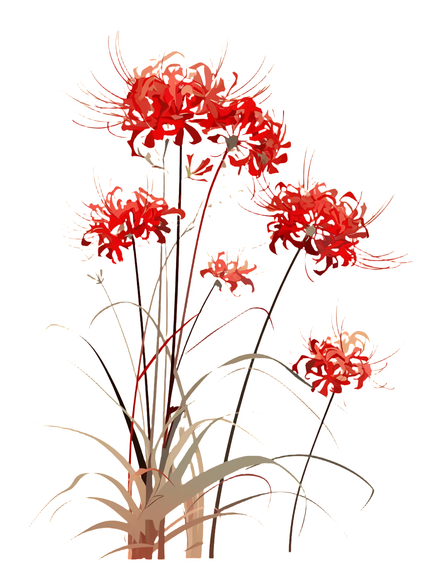 1000054386.png