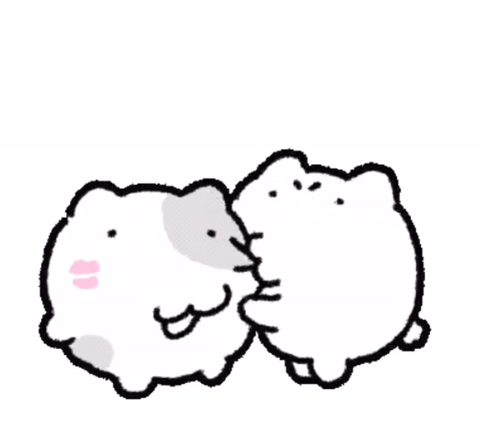 IMG_8521.gif