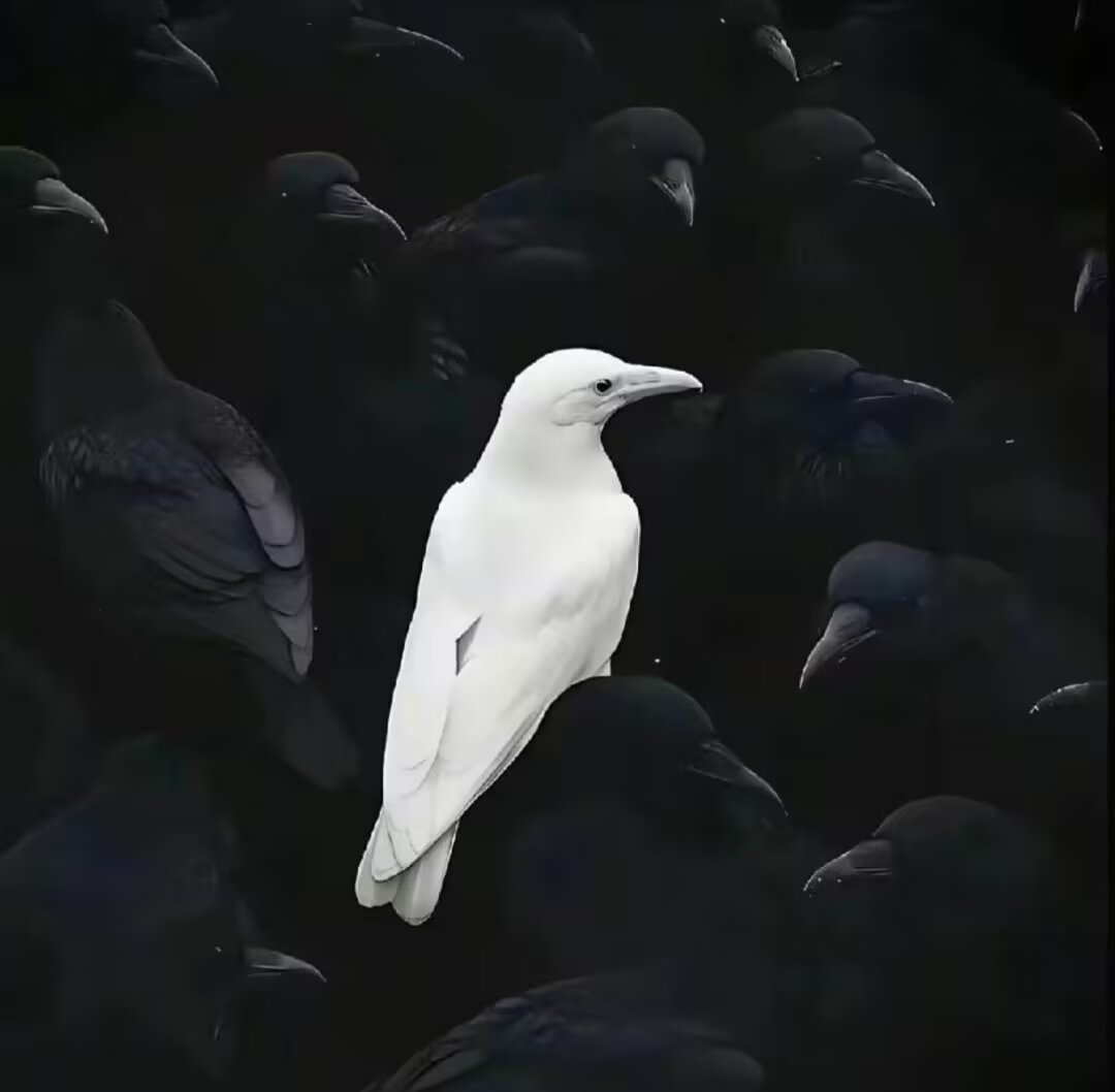 1000046915.jpg