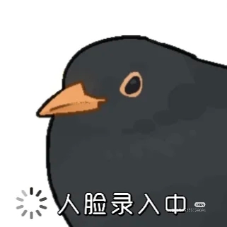 1786938251234.jpeg