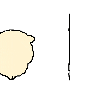 奶黄小狗嘴叼玫瑰花旋转靠墙耍帅.gif