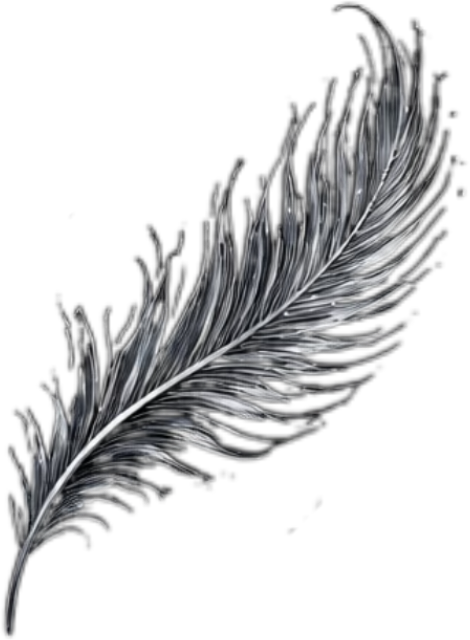 IMG_6924.png