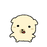 奶黄小狗挥手手.gif