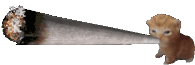 13c479b128b7c2e9c11ee0c0ffcc5920.jpg