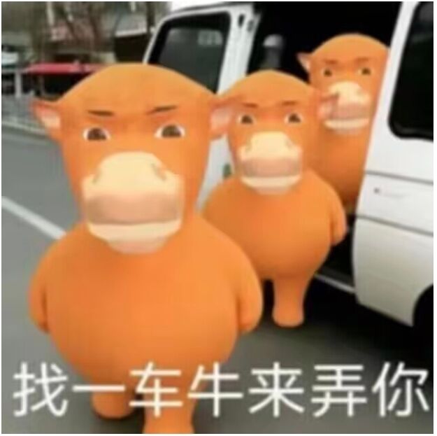 1786871588429.jpeg