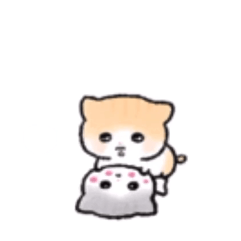 IMG_8516.gif