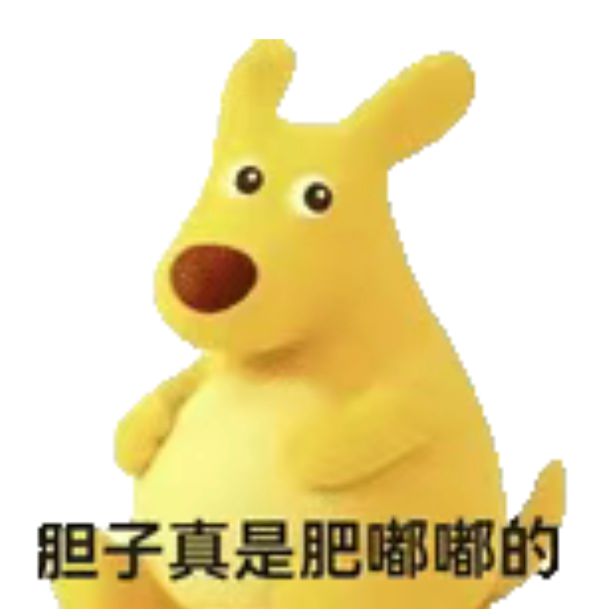 1000051711.jpg